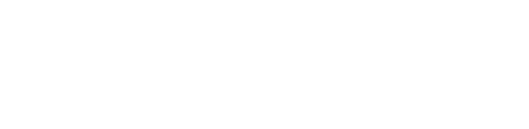 binex_logo